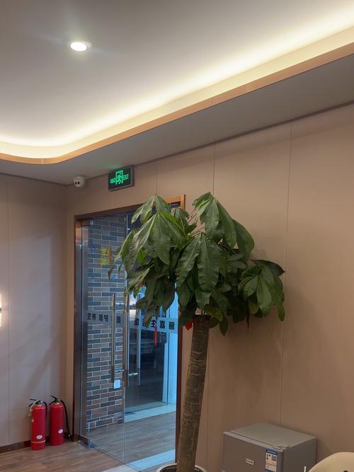 给我准备吃的服务很到位.下次继续过来.美容护理